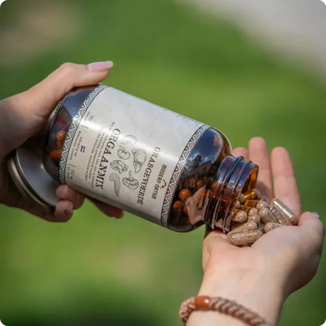 Grasgevoerde Runderorgaanmix