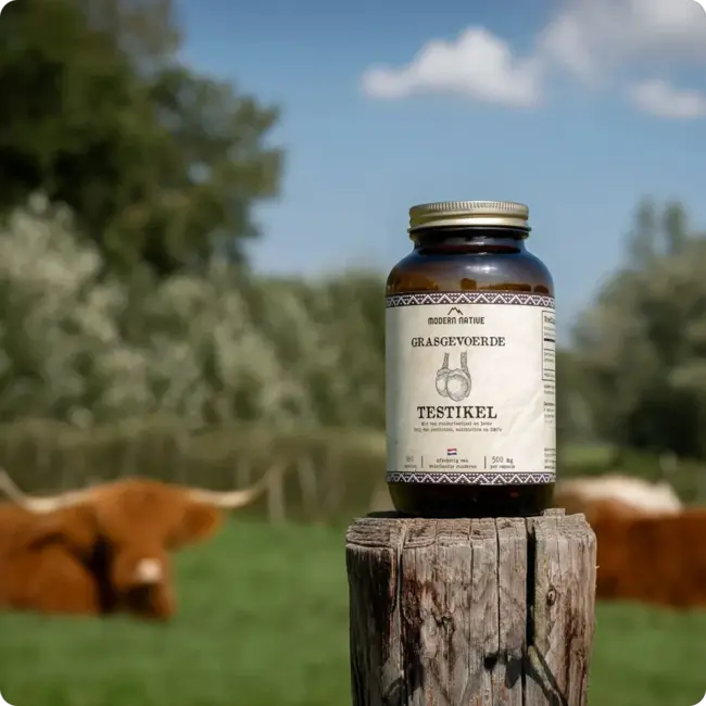 Grasgevoerd Rundertestikel Supplement