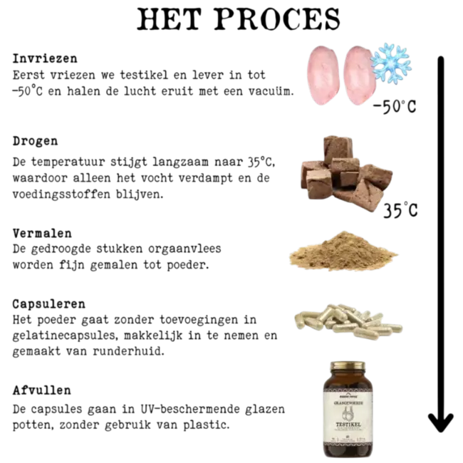 Grasgevoerd Rundertestikel Supplement