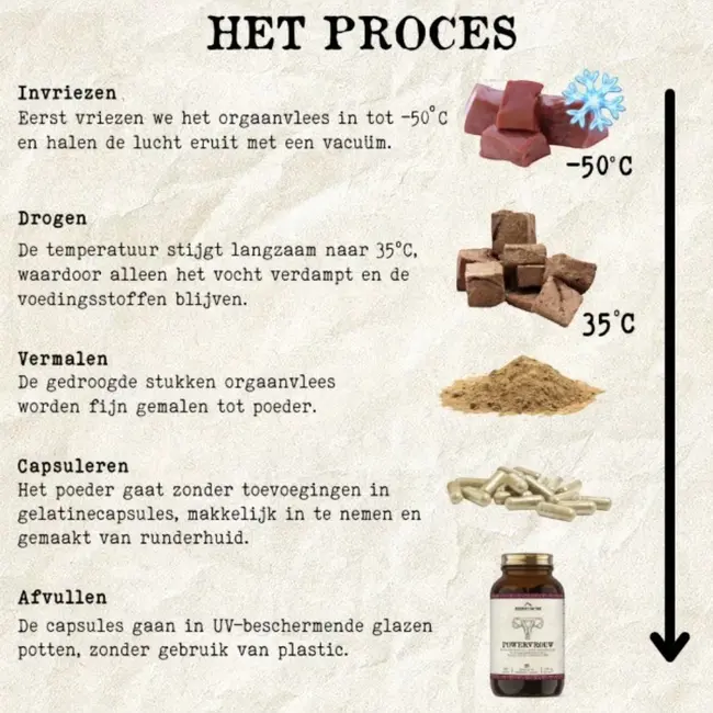 Powervrouw Runderorgaan Supplement