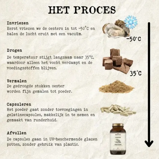 Zeeuwse Oester Capsules