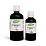 Bourbon Vanille Extract - BIO