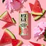 Frisdrank Watermelon-Hibiscus - 250ml