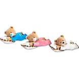 Teddybeer baby knuffel op kussentje (Rainbow Collection)