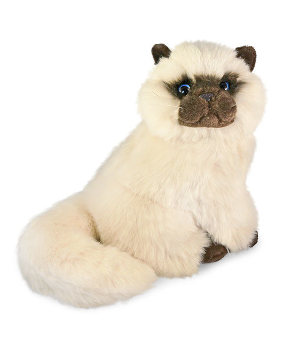 Perzische kat knuffel (4 kleuren)
