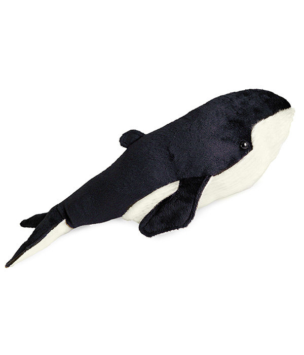 Walvis knuffel Blauwe Vinvis