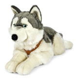 Hond knuffel Husky (60 cm)