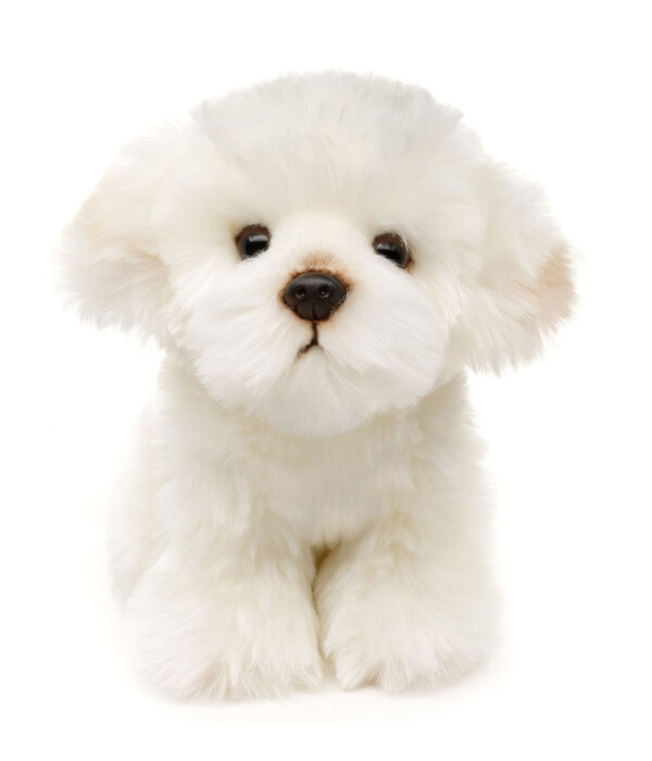 Uni Toys Hond knuffel Malteser 18 cm