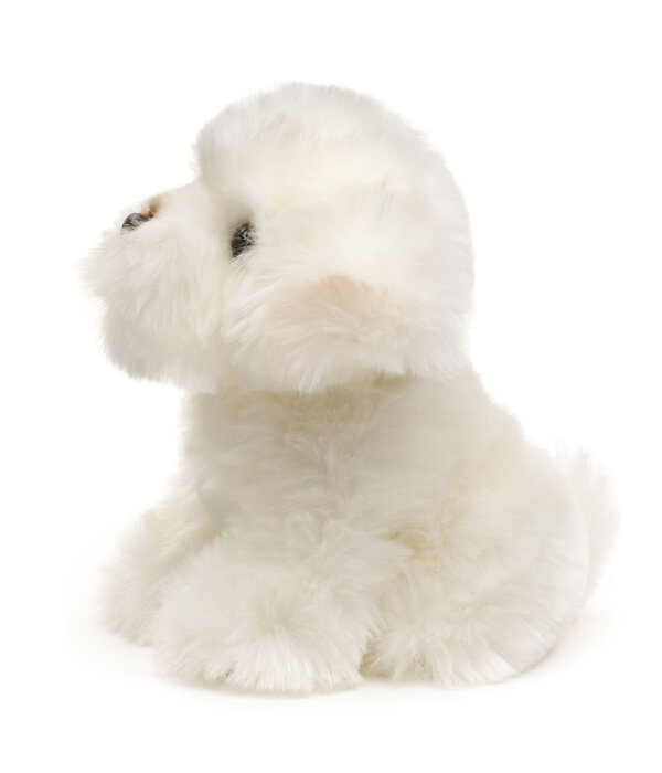 Uni Toys Hond knuffel Malteser 18 cm
