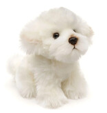 Uni Toys Hond knuffel Malteser 18 cm