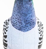 Uni Toys Duif knuffel