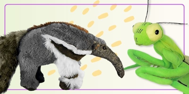 Dit zijn onze 5 meeste bijzondere dierenknuffels!