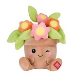 Kawaii Kuties Plant knuffels Kawaii Kuties. Kies uit cactus, vetplant, bloeiende plant of Dracaena angolensis
