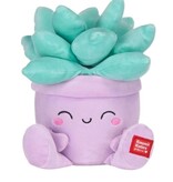 Kawaii Kuties Plant knuffels Kawaii Kuties. Kies uit cactus, vetplant, bloeiende plant of Dracaena angolensis