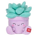 Kawaii Kuties Plant knuffels Kawaii Kuties. Kies uit cactus, vetplant, bloeiende plant of Dracaena angolensis