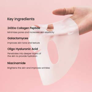 Biodance Masque Bio Collagen-Real Deep (lot de 4)