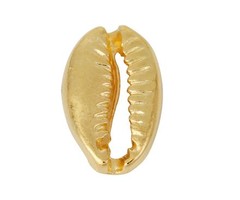 5 pieces Kauri Shell Gold Plated 19x12mm