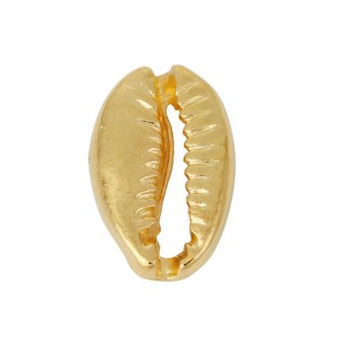 Kauri Shell Gold Plated 19x12mm, 5 pieces