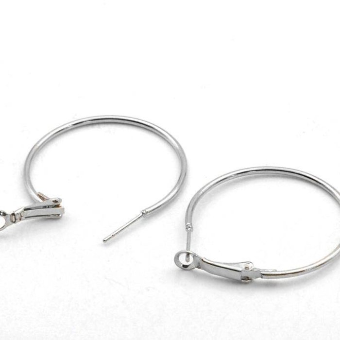 Stainless Steel Oorbel Creolen Zilver 40mm, 2 stuks