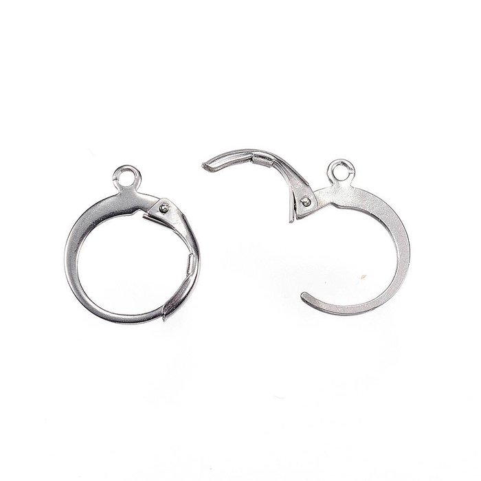Stainless Steel Hoop Oorbellen Zilver 12x15mm, 4 stuks