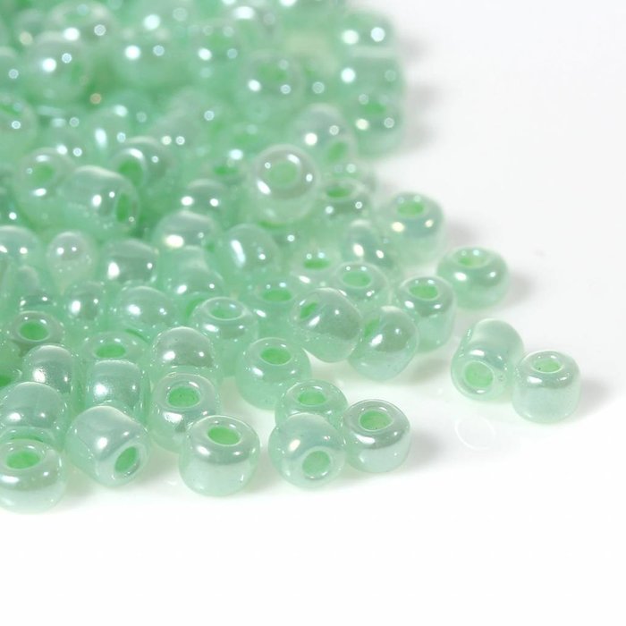 10078* Seedbeads Mint Green 4mm, 20 gram