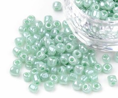 7 gram Rocailles Mint Groen 2mm