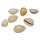 Shell bead Closed 17x12mm, 6 pieces