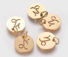 Stainless Steel Capricorn Charm 12mm