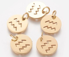 Stainless Steel Aquarius Charm 12mm