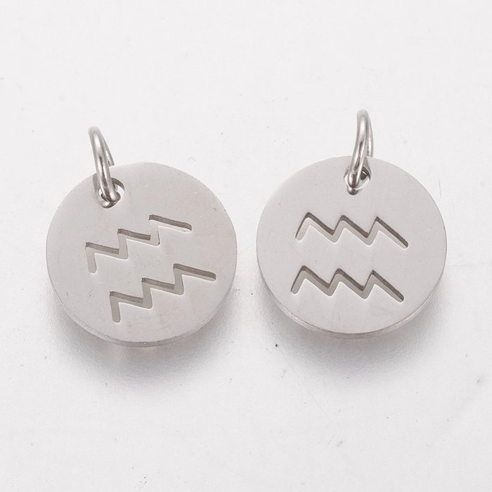 Stainless Steel Zodiac Charm Aquarius Silver 12mm