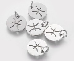 Stainless Steel Pisces Charm Silver 12mm