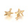 5325 Stainless Steel Star Charm 15x12mm Golden, 5 pieces