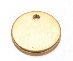5 stuks Stainless Steel Muntje Bedel 10mm Gold Plated