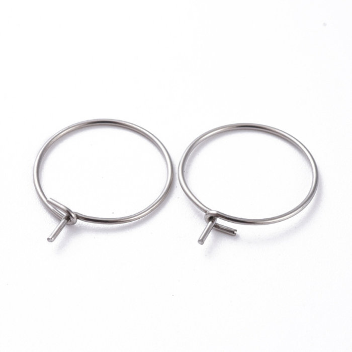 Stainless Steel Hoop Oorbel Zilver 15mm, 4 stuks