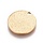 5324 Stainless Steel Coin Charm Stardust Gold Plated 15mm, 5 pieces