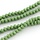 Facet Glaskralen Gras Groen 6x4mm, 50 stuks