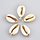 Kauri Shell Link Beige Gold Plated 30x15mm