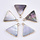 Natural Black Lip Shell Charm Triangle 18x17x3mm