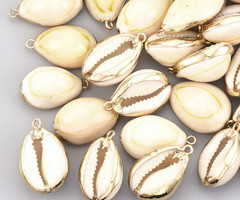 Natural Cowrie Shell Charm 25x16x11mm
