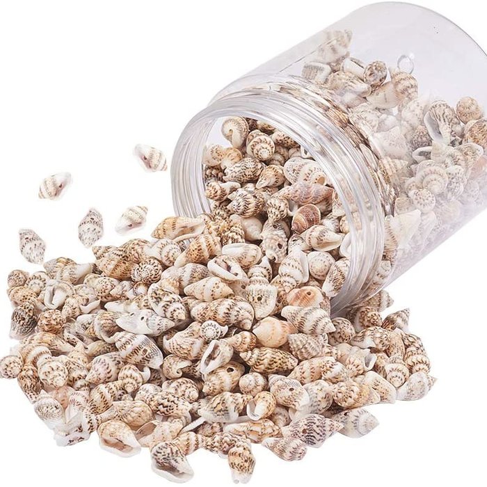 20 pieces Natural Cowrie Shell Charm 16x8x6mm - 5807
