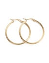 Stainless Steel Earrings Golden 33x2mm, 2 pieces