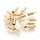 Stainless Steel Eindkapje voor 2mm Koord 8x2.5mm, 8 Stuks