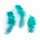 Colored Ibiza Feathers 6~12cm Turquoise, 20 pieces