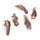 Colored Ibiza Feathers 4~8cm Duo Brown, 20 pieces