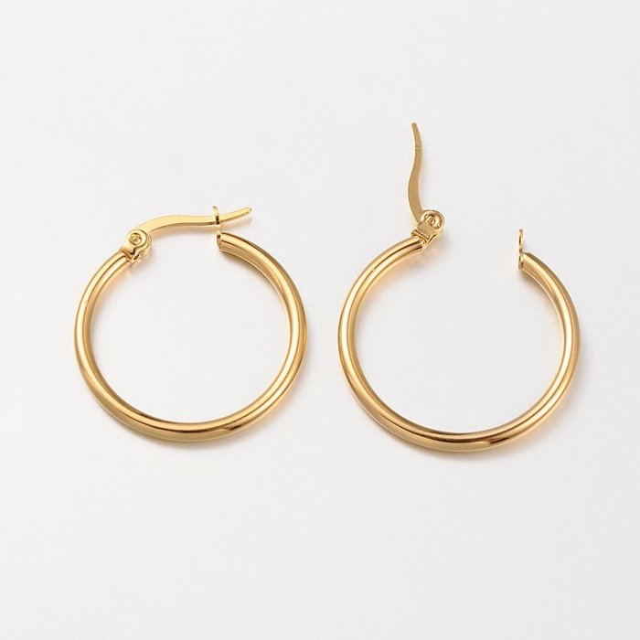 2 stuks Stainless Steel Hoop Earring 23~25x2mm - A46