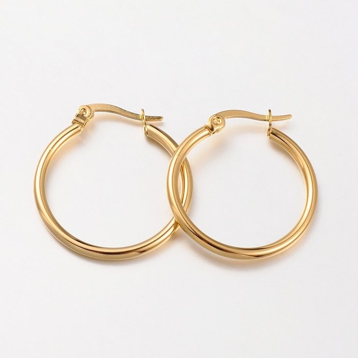 2 stuks Stainless Steel Hoop Earring 23~25x2mm - A46