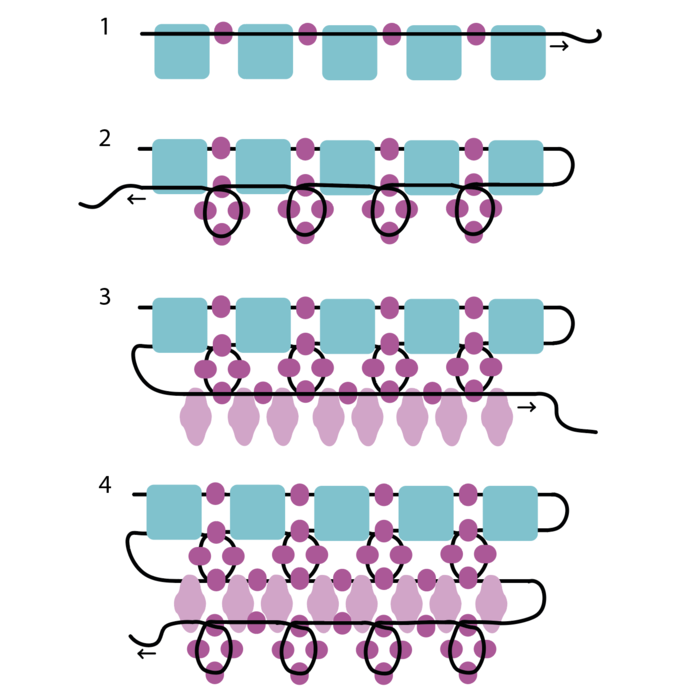 Colorful necklace of Tila and Super duo beads inspi561