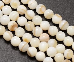 Natural Zoetwater Schelp Kralen 6mm, 55 stuks