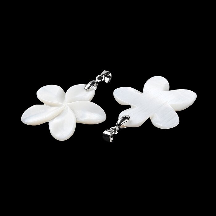 Natural Zoetwater Schelp Bedel Bloem Zilver 29x30x3mm