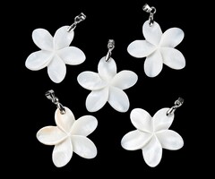Natural Zoetwater Schelp Bedel Bloem Zilver 29x30x3mm